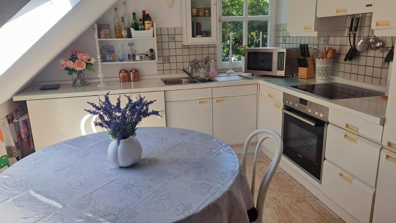 Ferienwohnung In Bad Wilhelmshoehe Weltkulturerbe 卡塞尔 外观 照片